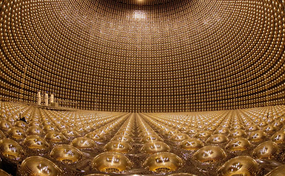 建筑化學品案例