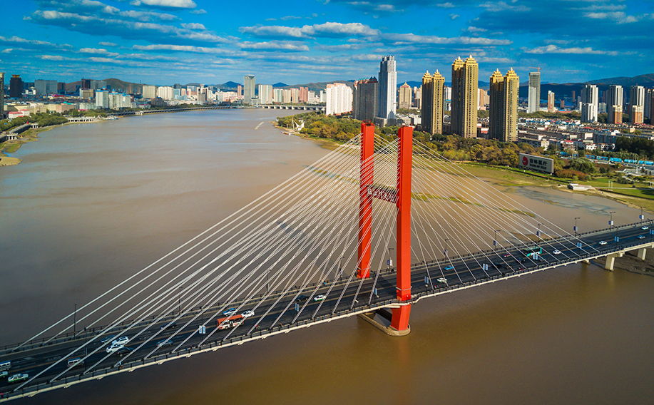 精細化學品案例