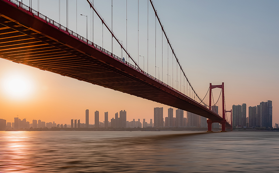 精細化學品案例