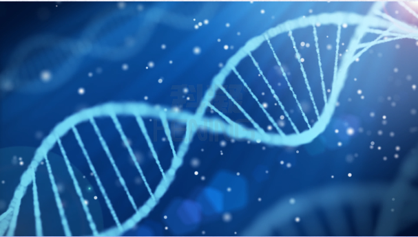 納米二氧化硅在納米農藥生產中的作用