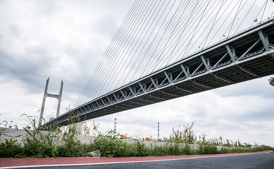 精細化學品案例