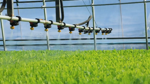 1699585900119481.jpg 1699585793919.jpg