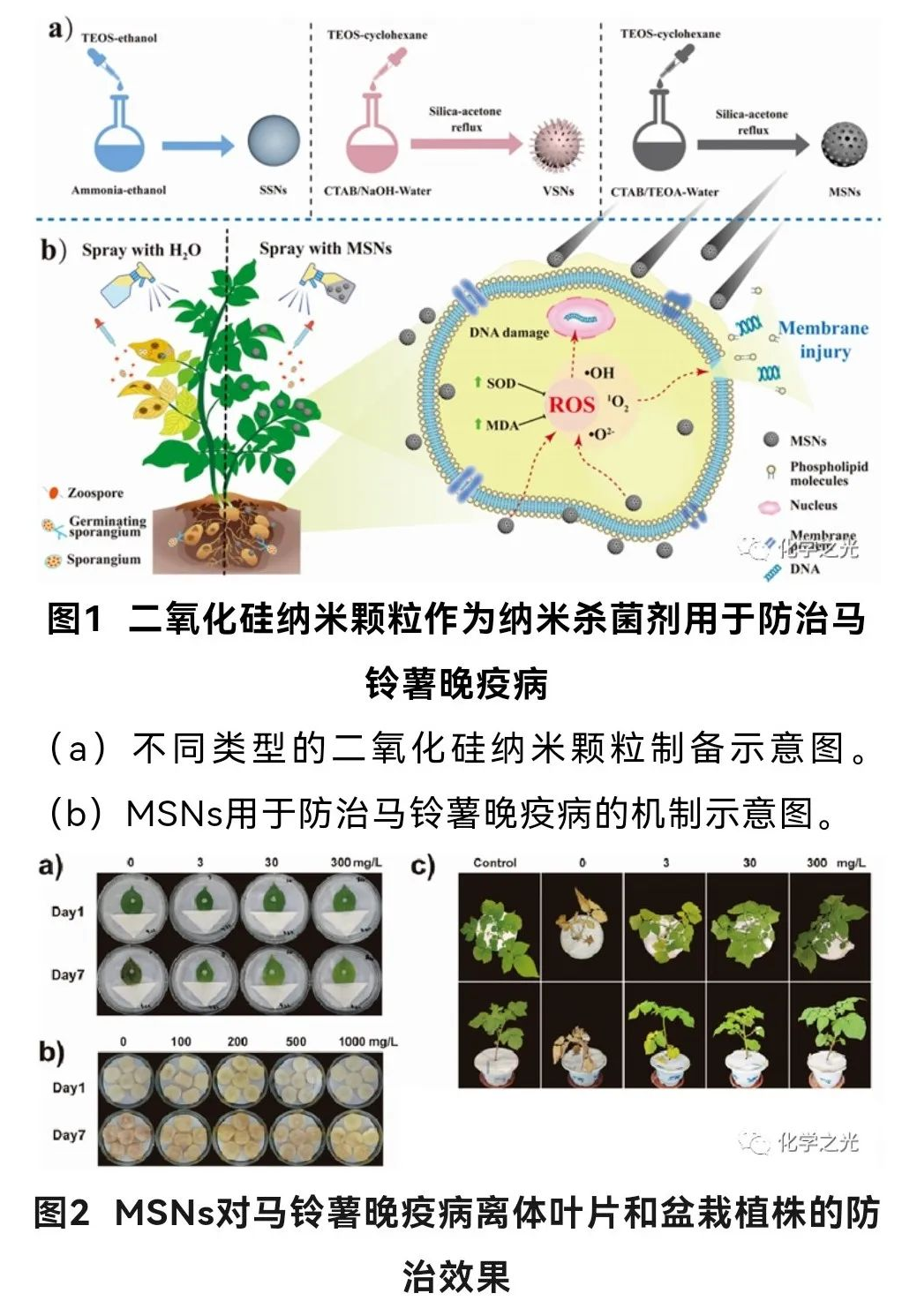 65b35fbae51cb.png 未標題-3.png