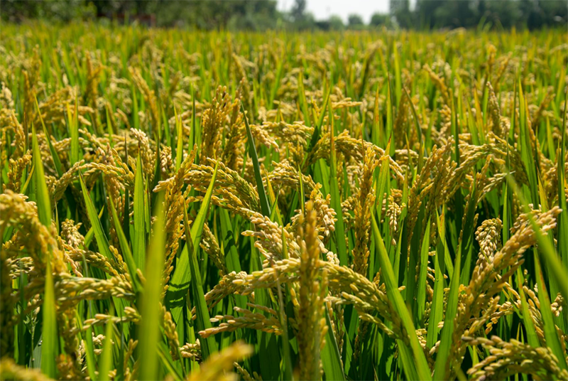 67c517d8c389f.png 1740969815274.png